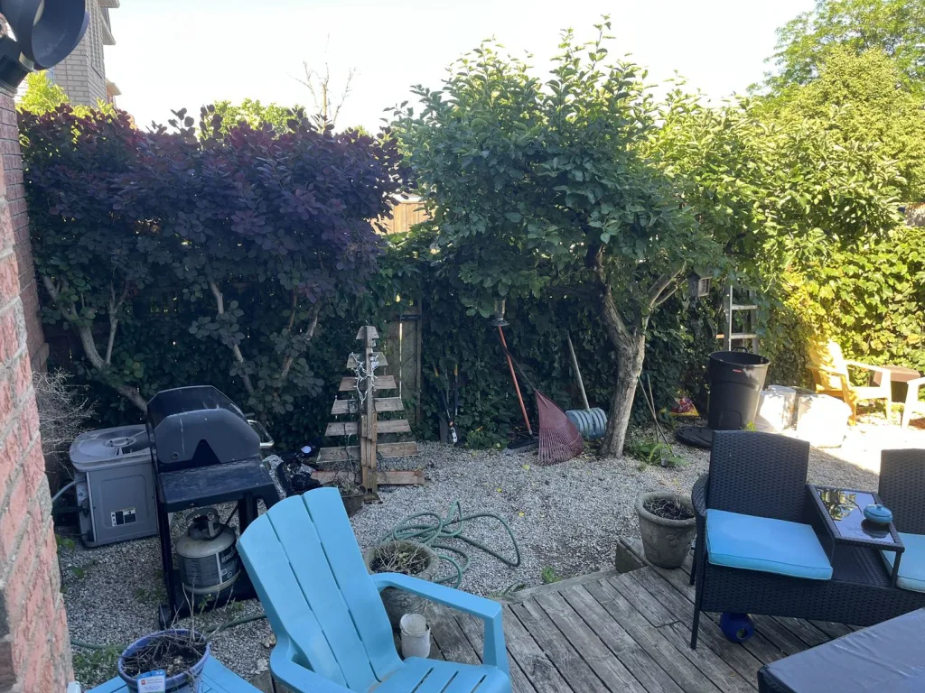 Before: overgrown, cluttered backyard garden with untrimmed shrubs in Dundas
