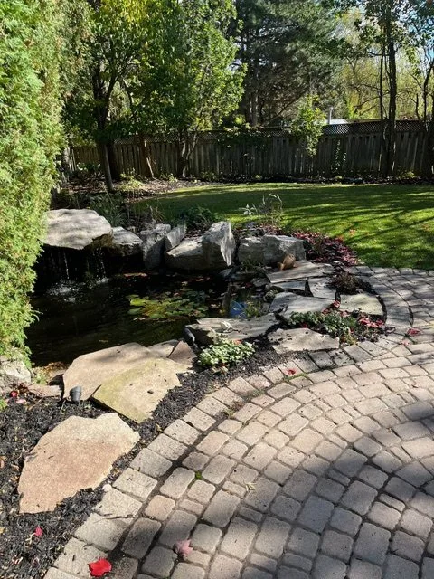 Backyard pond garden with shade plants and fresh mulch in Ancaster