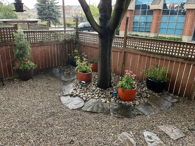 Courtyard garden around a tree with terracotta pots of coneflowers in Dundas