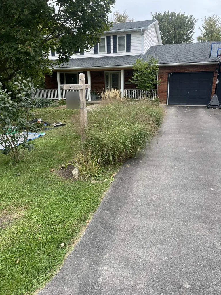Before: overgrown ornamental grass bed beside a driveway in Stoney Creek