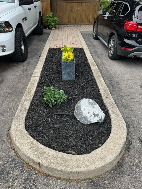 Curbed driveway island garden refreshed with black mulch, new plants and a planter of yellow flowers in Binbrook