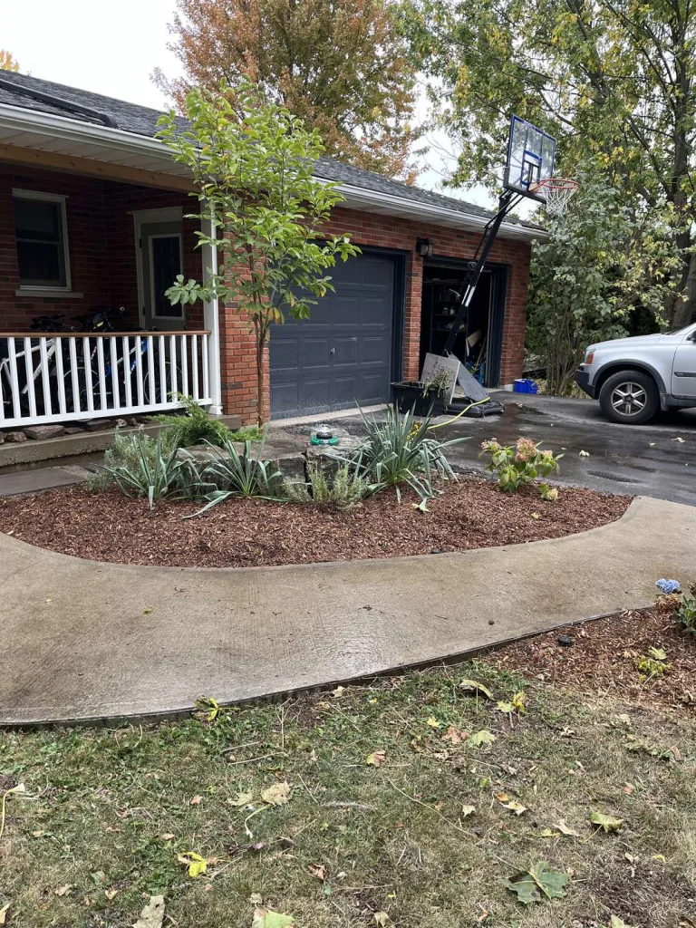 After: rebuilt curved front garden bed with fresh mulch and ornamental grasses along the walkway in Hamilton